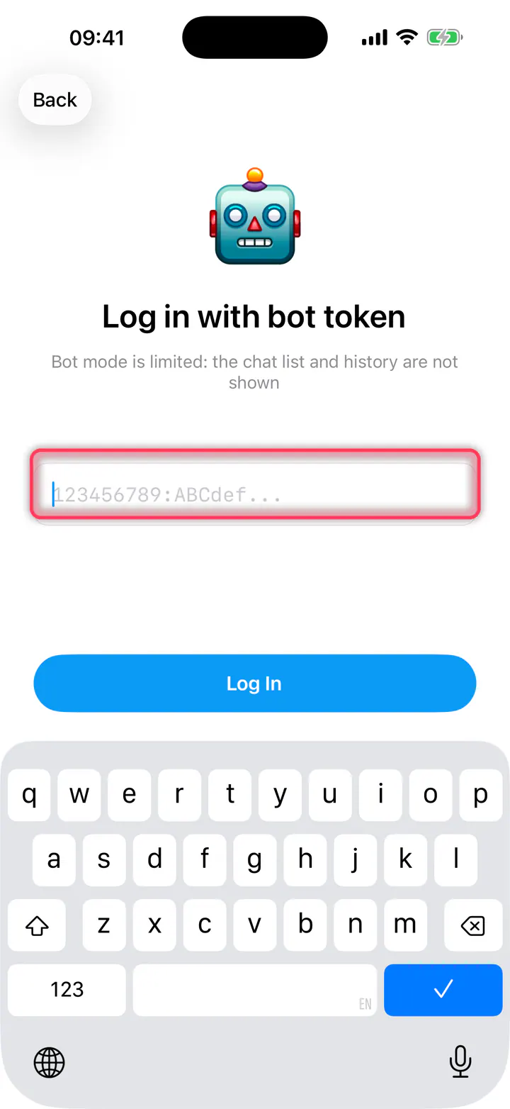 Enter the token and tap the log-in button