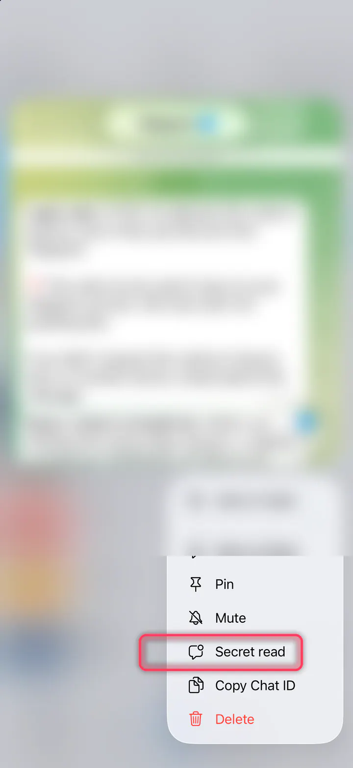 Press and hold a chat, then choose “Secret read”